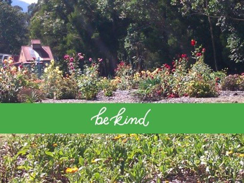 BeKind01_500x376_v01