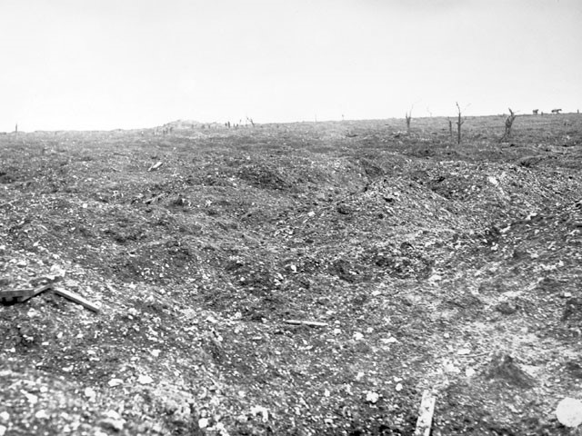 MouquetFarm-2016_v01